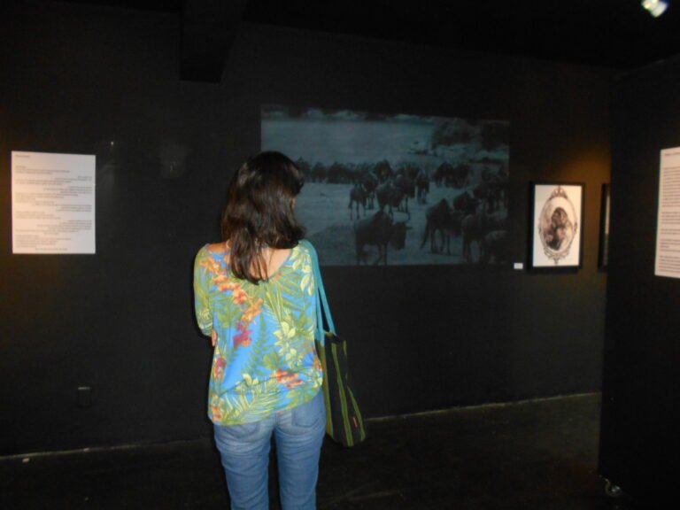 Exposição Chão Arejado 
Galeria Capibaribe, 2017, Centro de Artes e Comunicação UFPE, Recife-PE